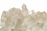 Clear Quartz Crystal Cluster - Brazil #225175-4